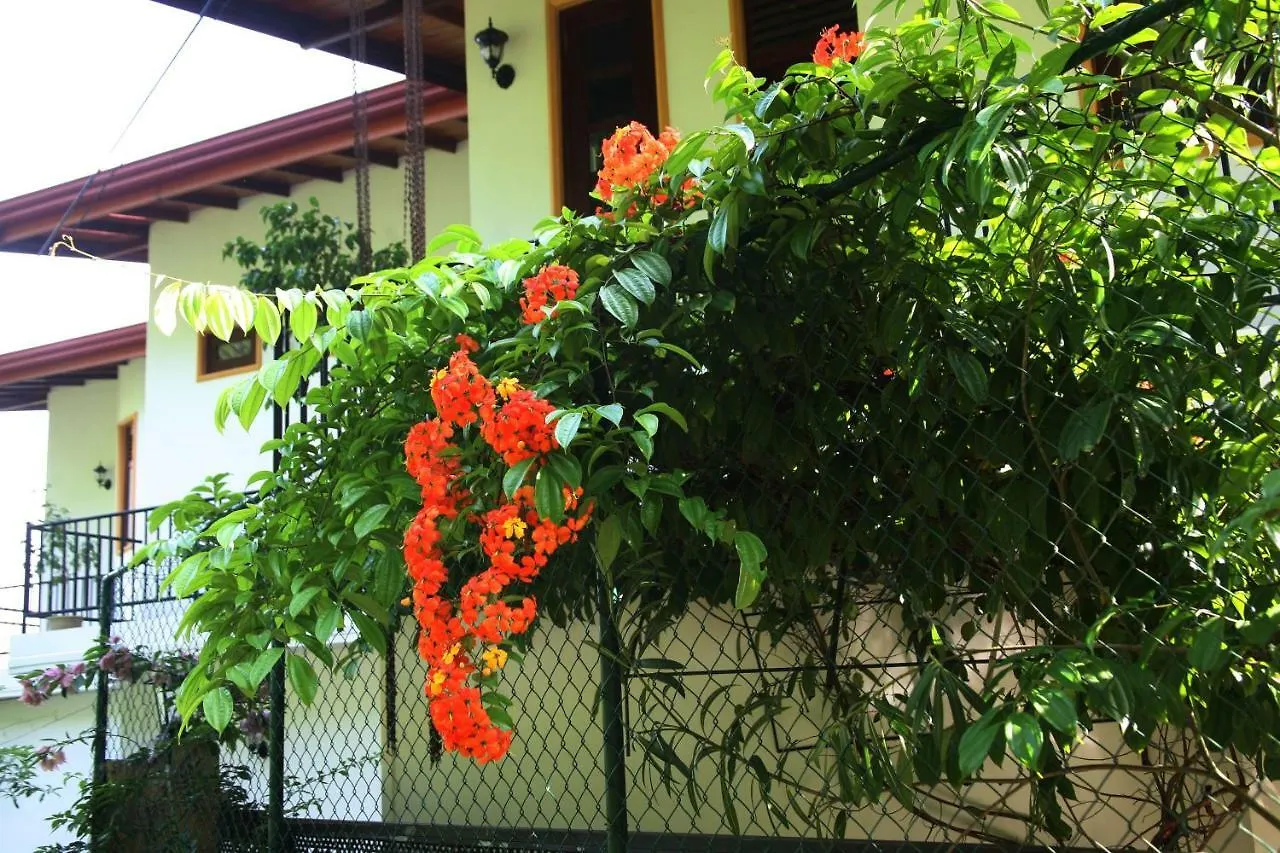 Hotel The Springfields Kandy Previously Madara Residence Kandy